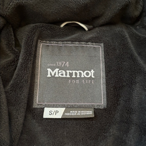 • Marmot• - Picture 3 of 10